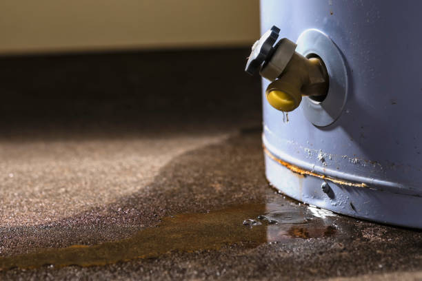 Best 24/7 water damage repair  in Sully Square, VA