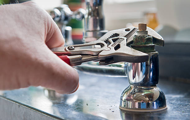 Best Professional water damage repair  in Sully Square, VA