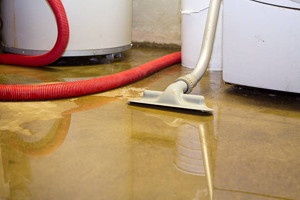Best Water damage contractors near me  in Sully Square, VA
