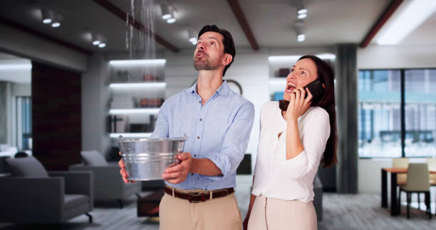 Best Flood damage cleanup  in Sully Square, VA
