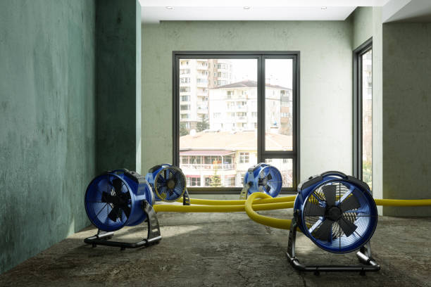 Best Carpet water damage restoration  in Sully Square, VA